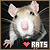 Rats Fanlisting